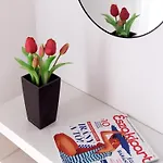 Major Appartement