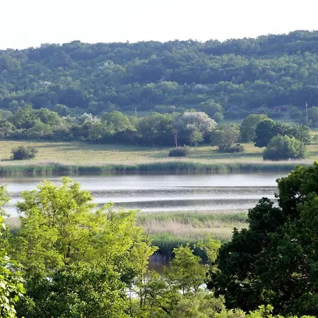 Major アパート ティハニ